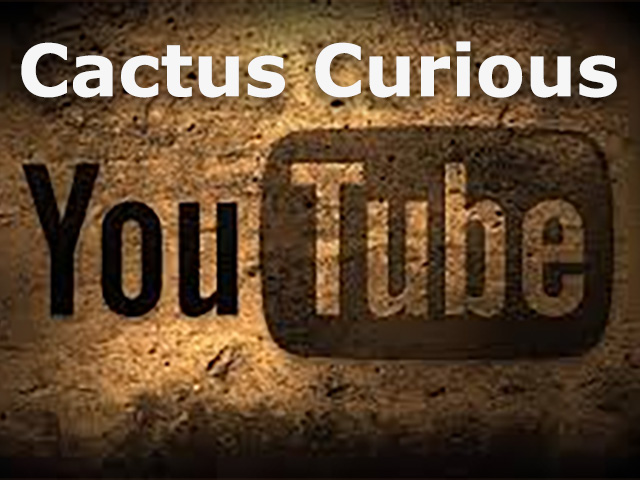 You Tube Videos